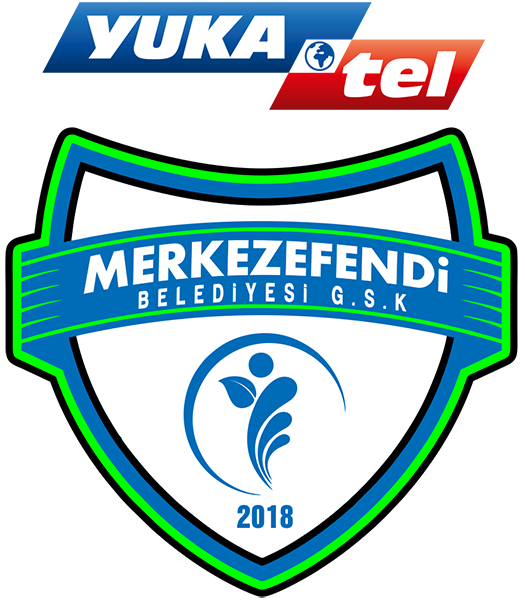 梅克泽芬迪 队徽